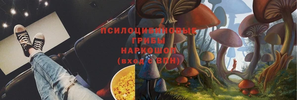 дживик Абинск