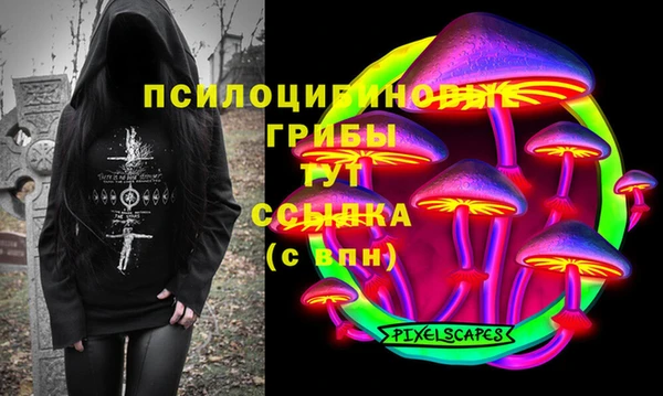 спайс Алзамай