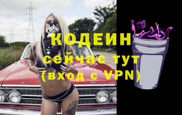 дживик Абинск