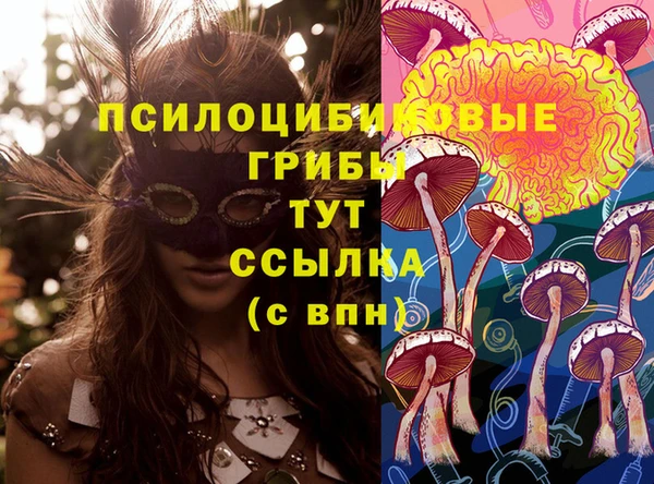 дживик Абинск